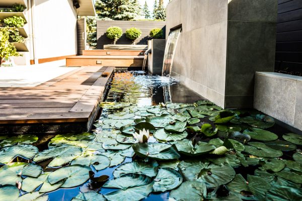 pond water feature